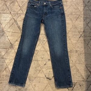 Levi's Men's Straight Fit Blue Jeans